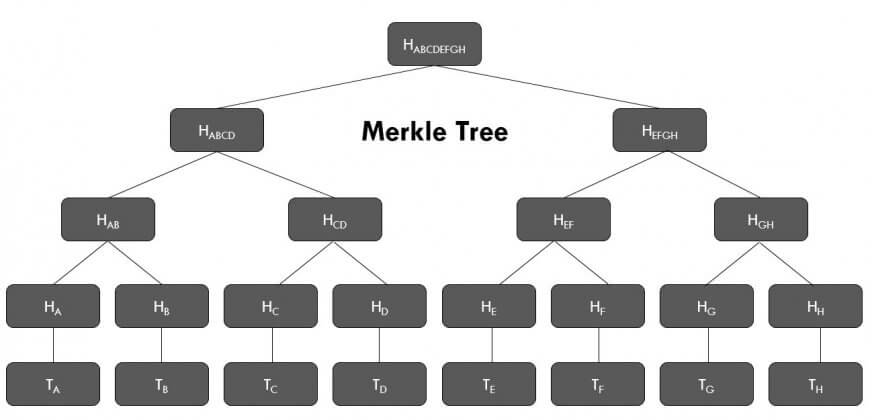 merkle structured data tool