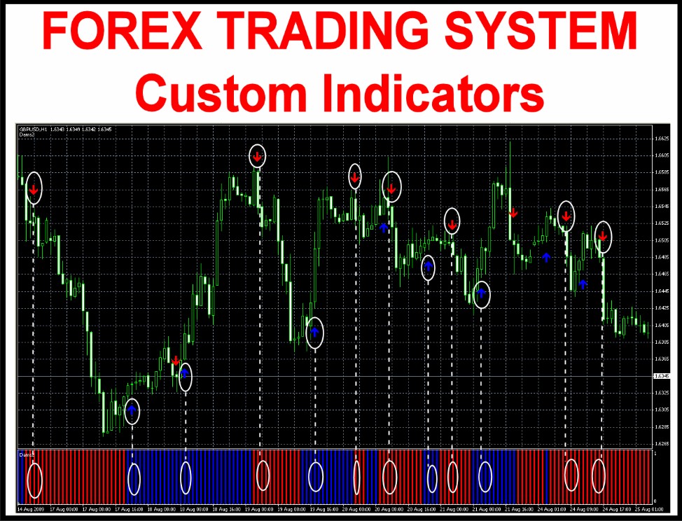 forex trading courses reviews